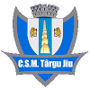 CSM Targu Jiu